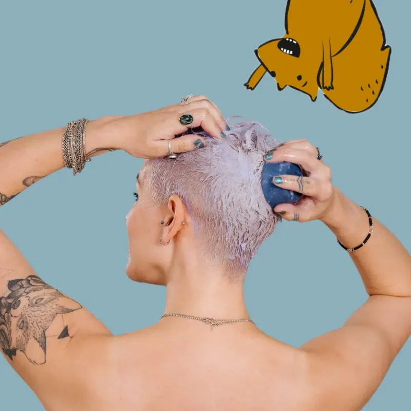 vegan zilvershampoo